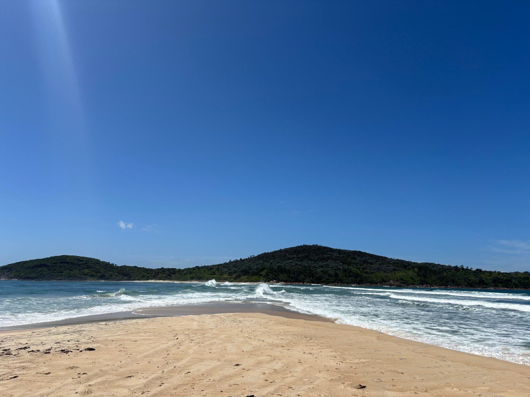 Fingal Bay Beach景点图片