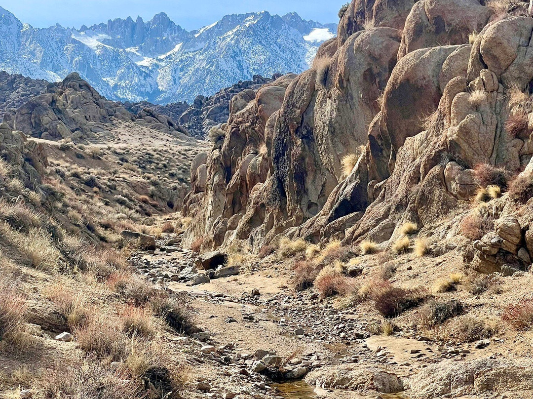 Best Western Frontier Motel主图