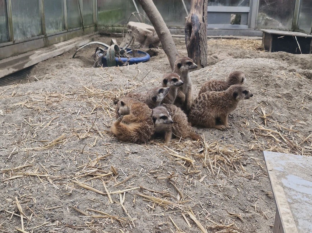 Bioparc Genève Pierre Challandes-Bellevue必去景点