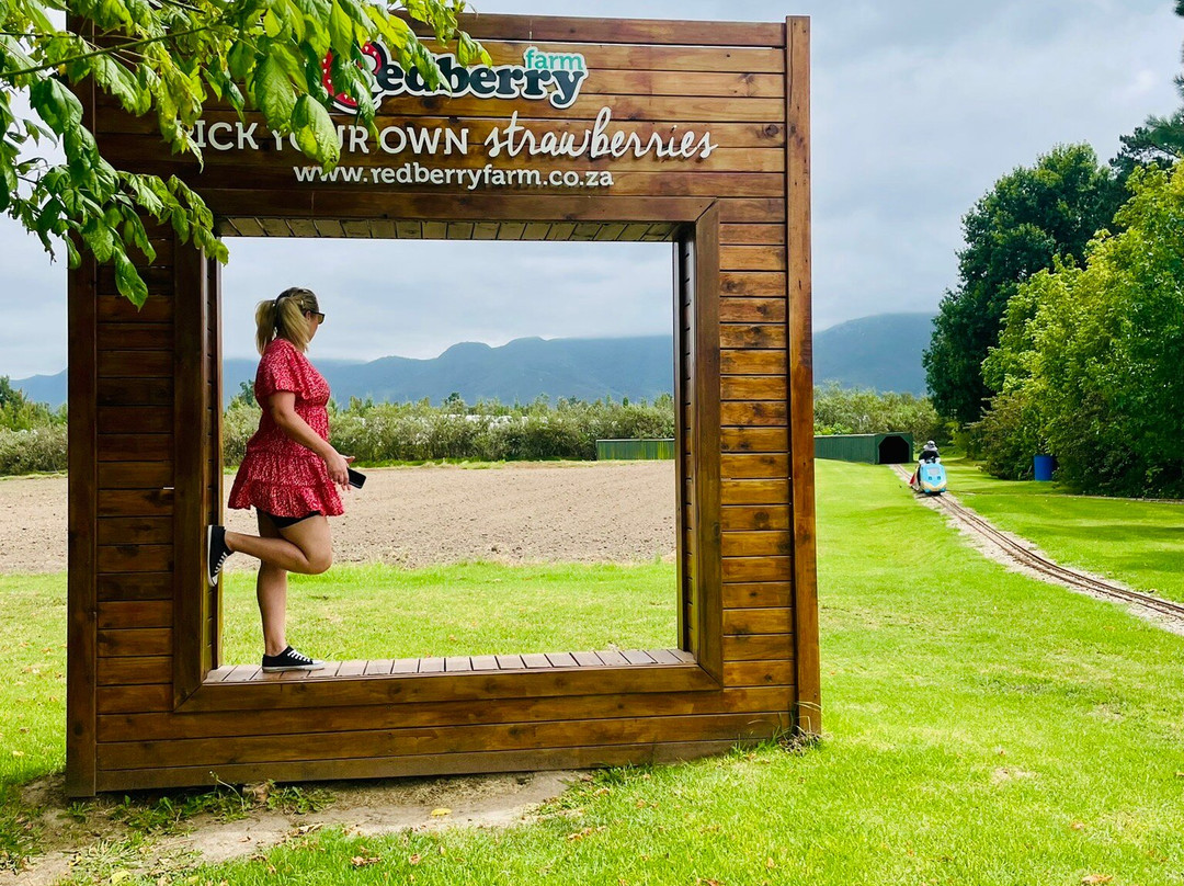 Redberry Farm-乔治必去景点