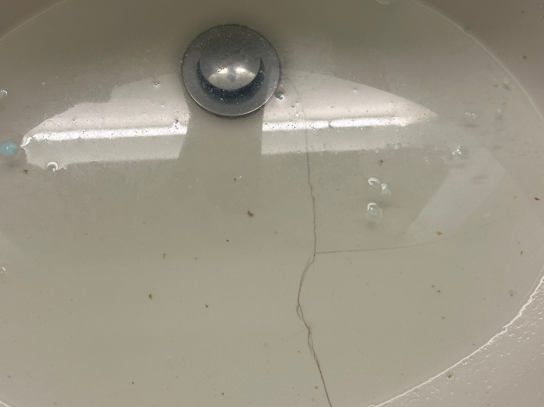 SpringHill Suites Florence主图