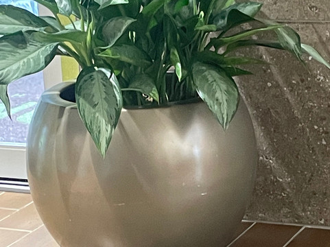 Home2 Suites by Hilton Cleveland Independence主图