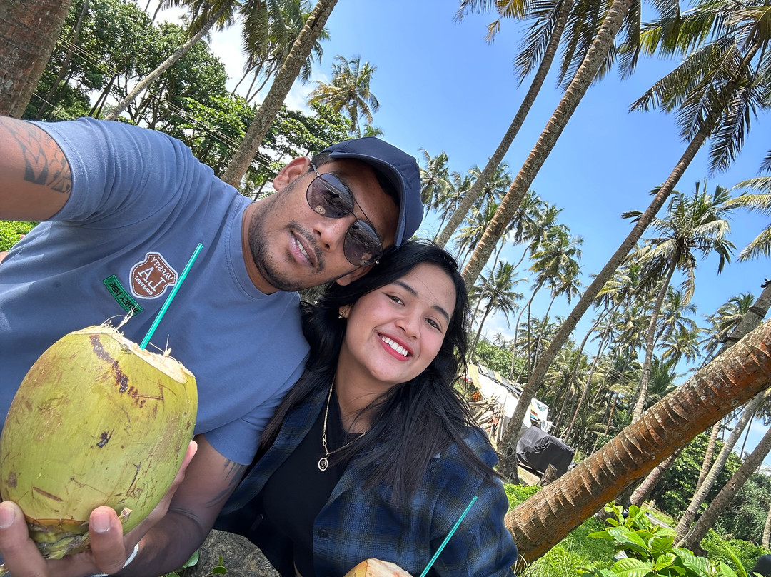 Sundown Tours and Travels