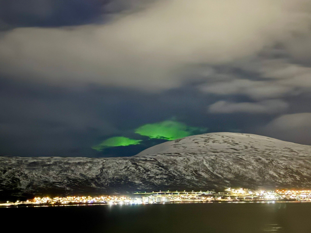 Soroya Havfiskecruise – Day Tours-特罗姆瑟必去景点