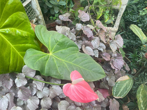 John's Highland Comfort (Guest House)主图