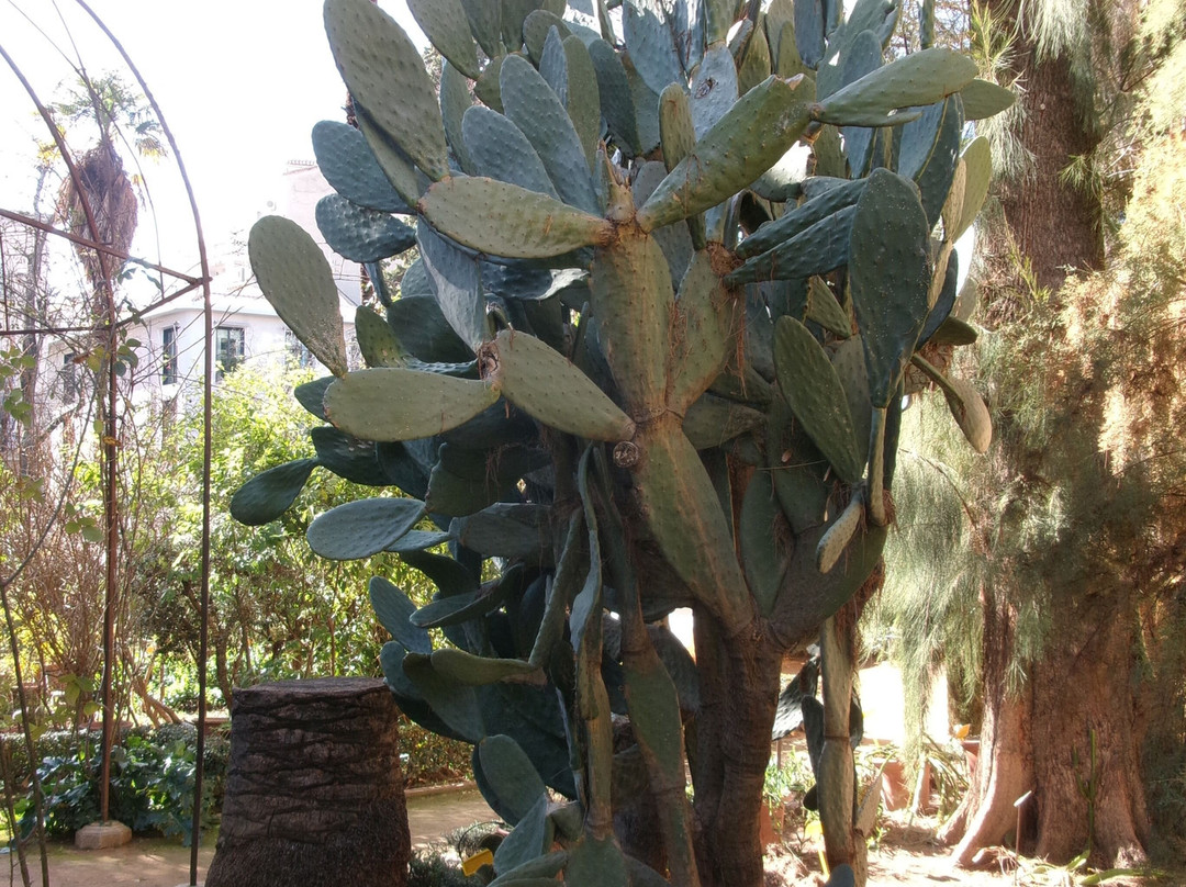 Jardin Botanico de la Universidad de Granada-格拉纳达必去景点