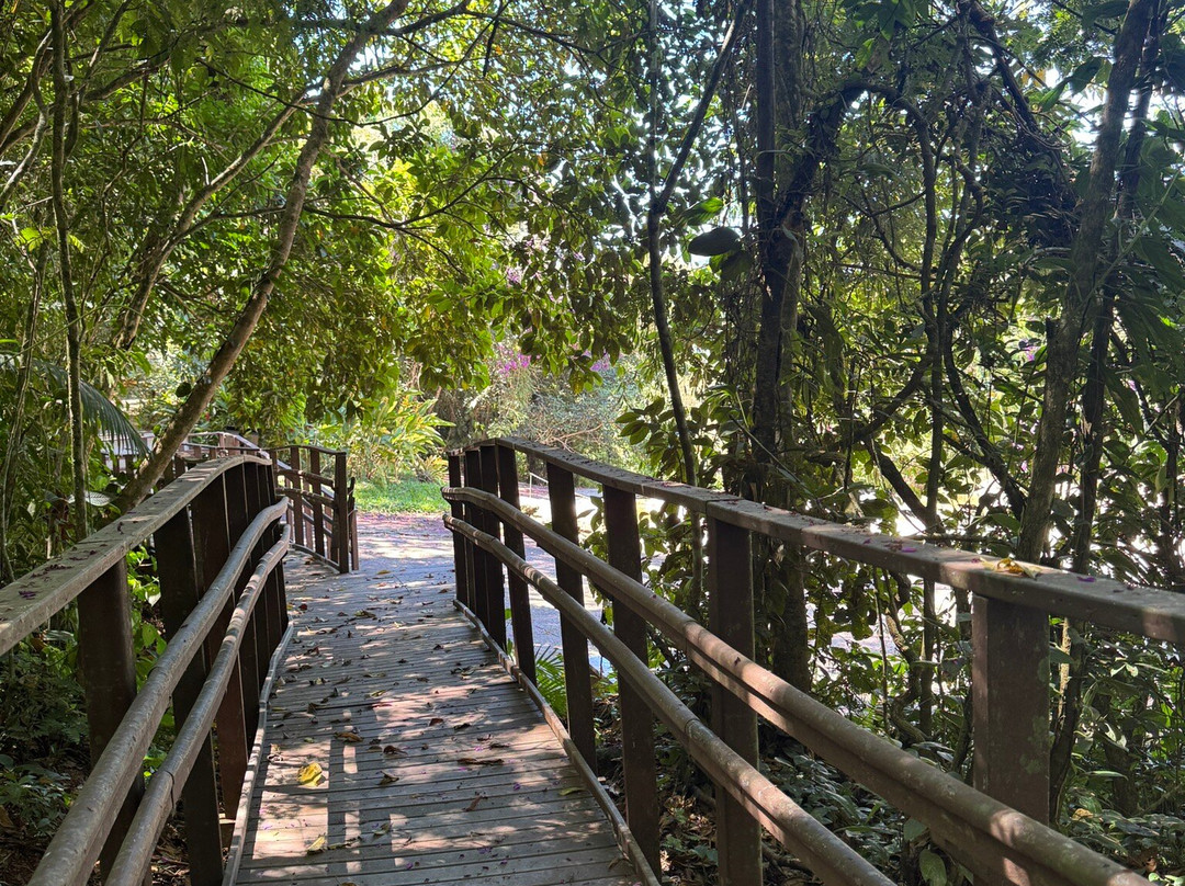 Fazenda Bananal景点图片