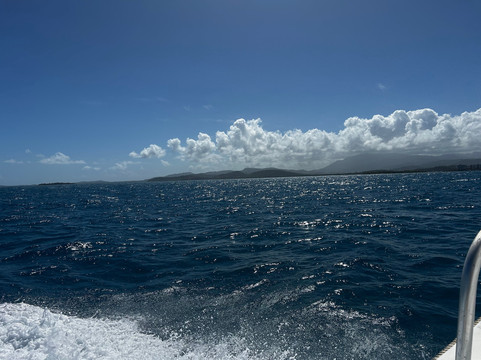 Aqua Adventures | Snorkeling & Boat Tours in Fajardo PR-法哈多必去景点