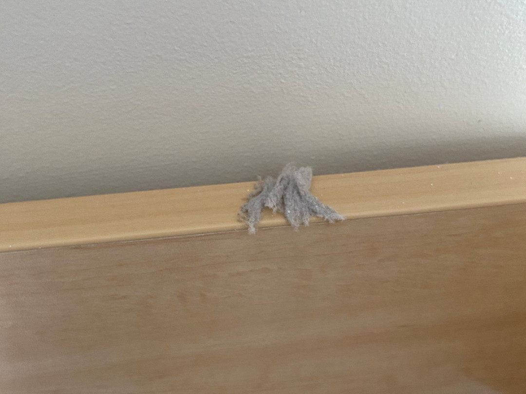 爱丁堡汽车旅馆主图