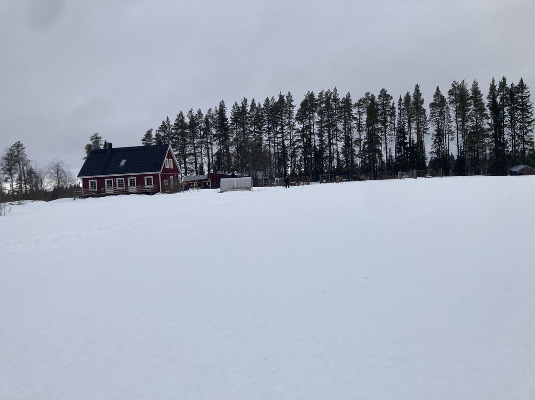 Openlappland-Amsele必去景点