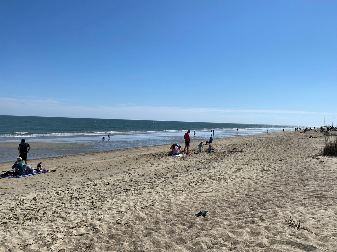 Tybee Island Beach-泰碧岛必去景点