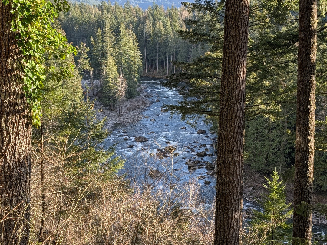The Roaring River Bed & Breakfast主图