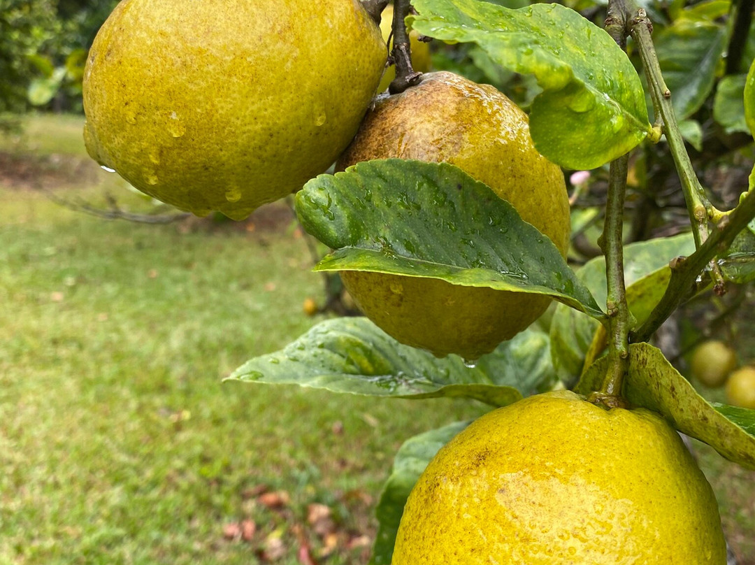 天堂草场-纳勒胡必去景点