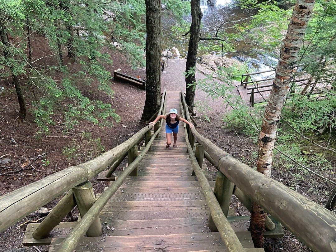 Victoria Park-Truro必去景点