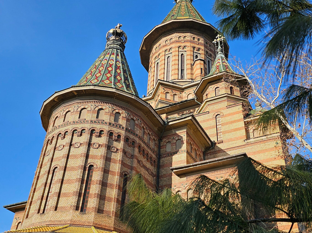 Timișoara Orthodox Cathedral景点图片