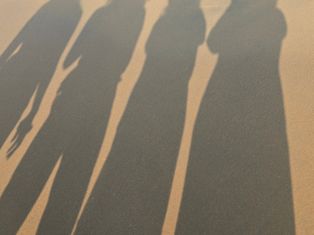 Trip Tin Adventures-海德拉巴必去景点