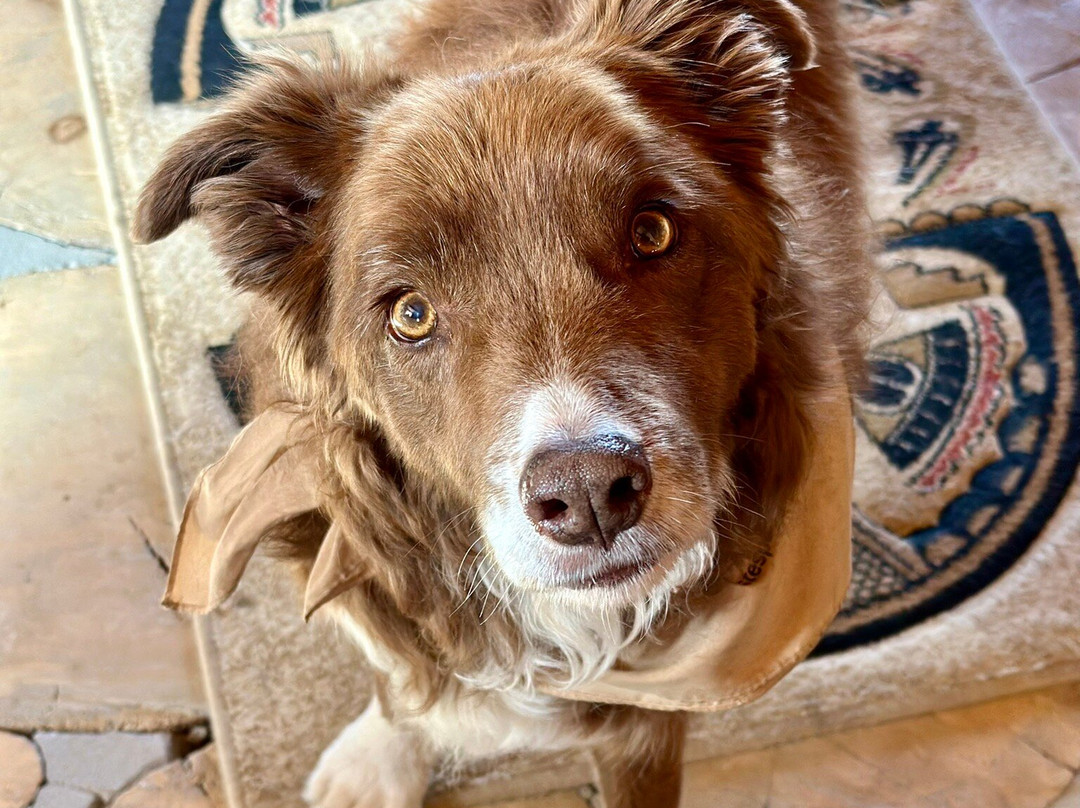 Estes Park Outfitters-埃斯蒂斯公园必去景点