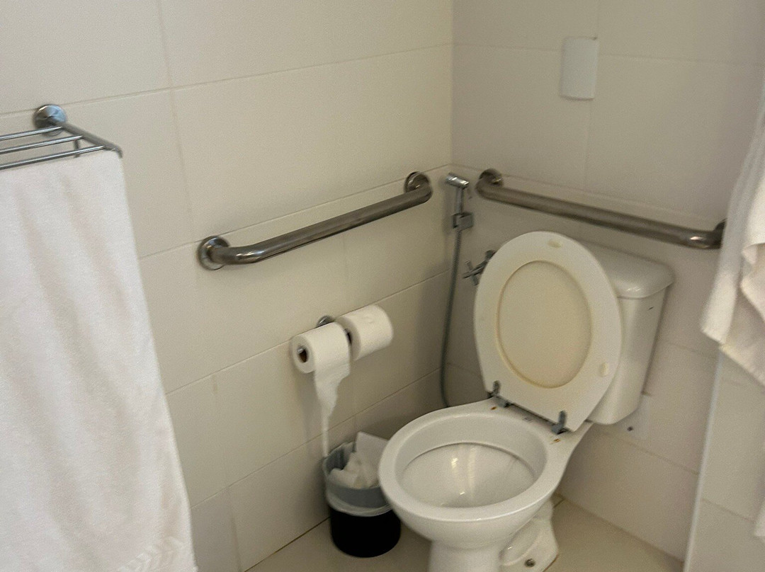 Blue Tree Towers Bauru主图