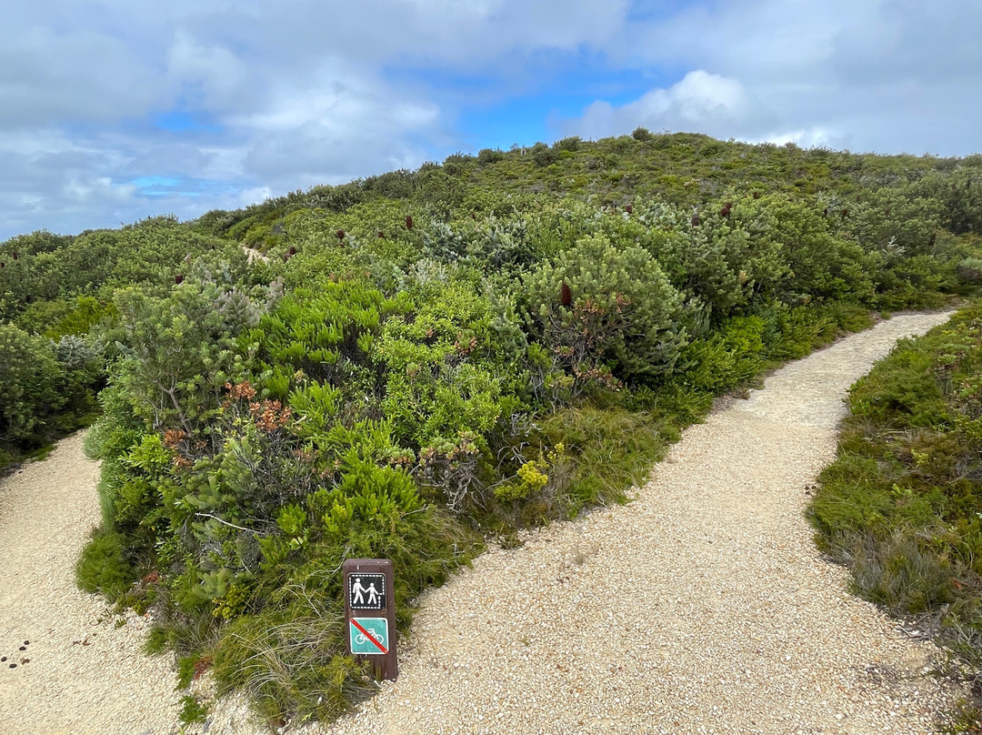 Sharp Point-奥尔巴尼必去景点