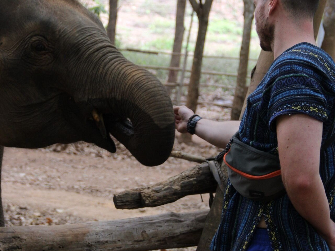 Hug Elephant Sanctuary-清迈必去景点
