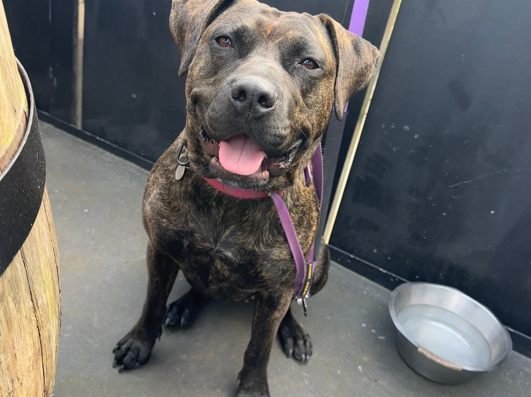 Irwell Works Brewery-Bury必去景点