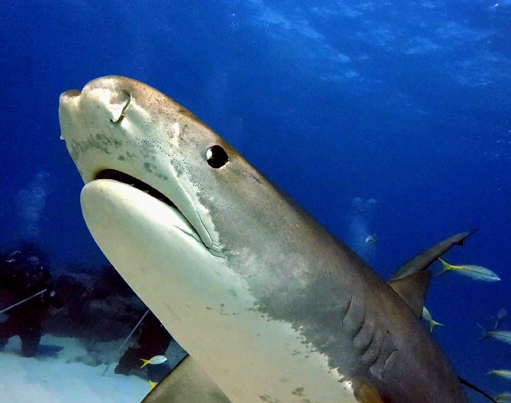 Great Xplorers-Eusebio必去景点