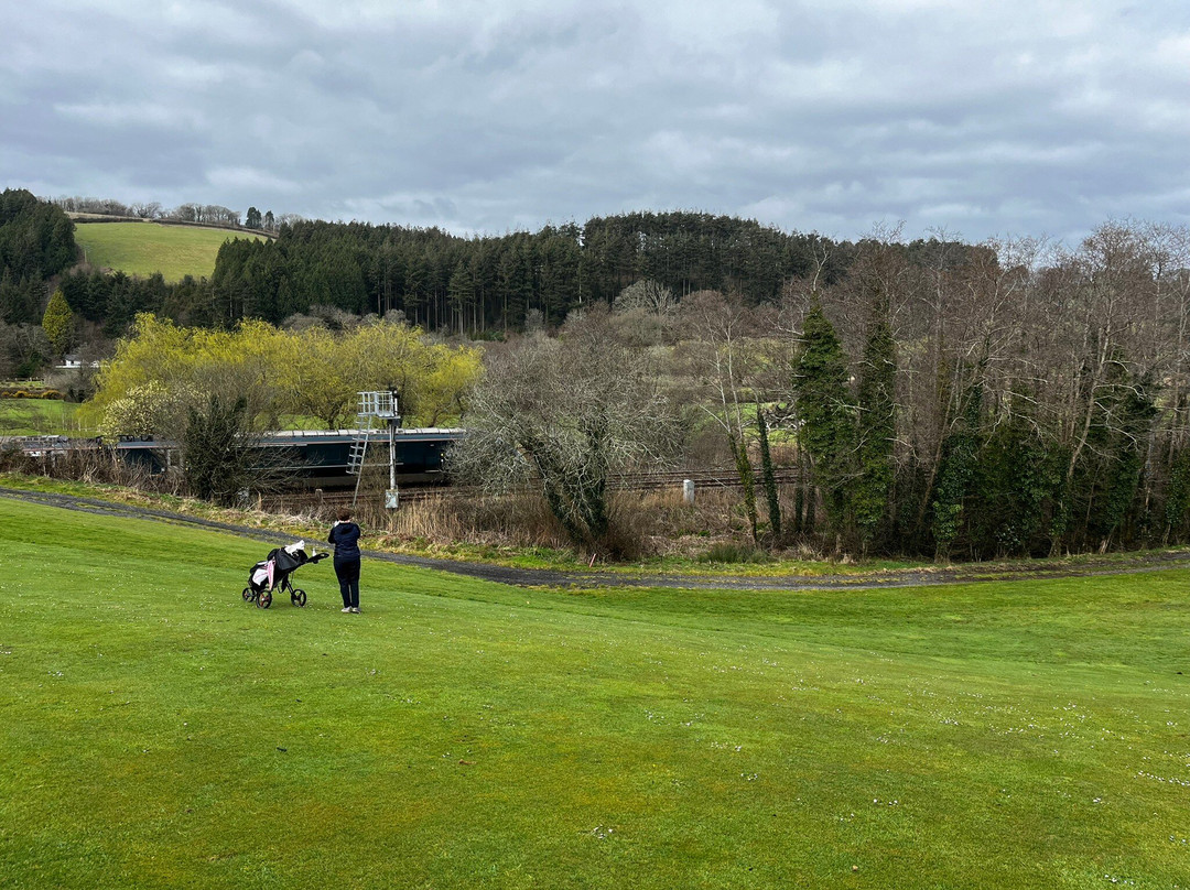 Gillyflower Golf景点图片