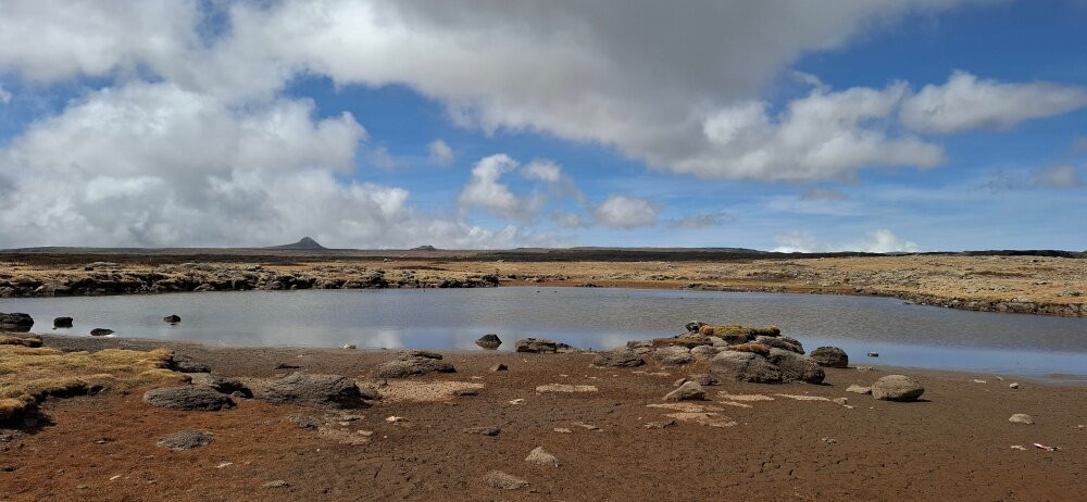 Bale Trek Ethiopia Tours-Goba必去景点