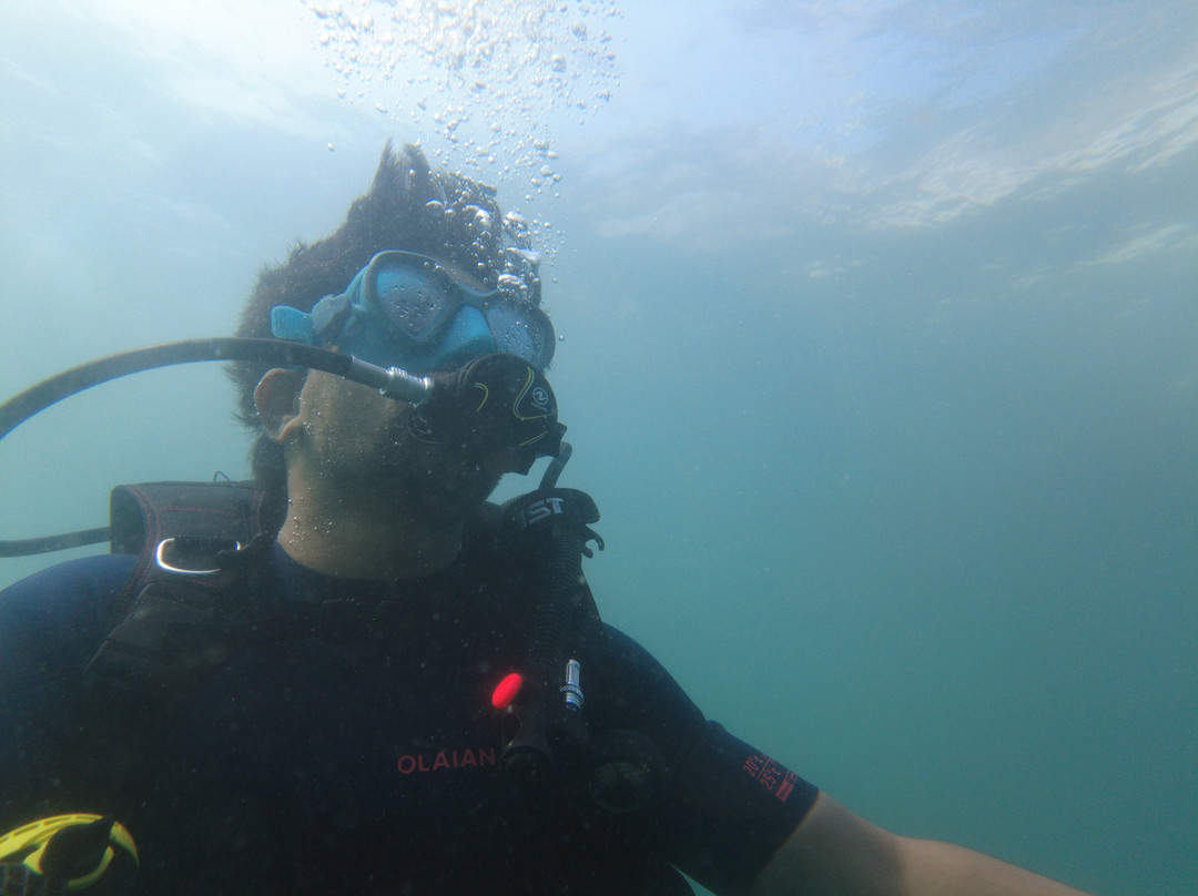 Divers Of Vingoria景点图片