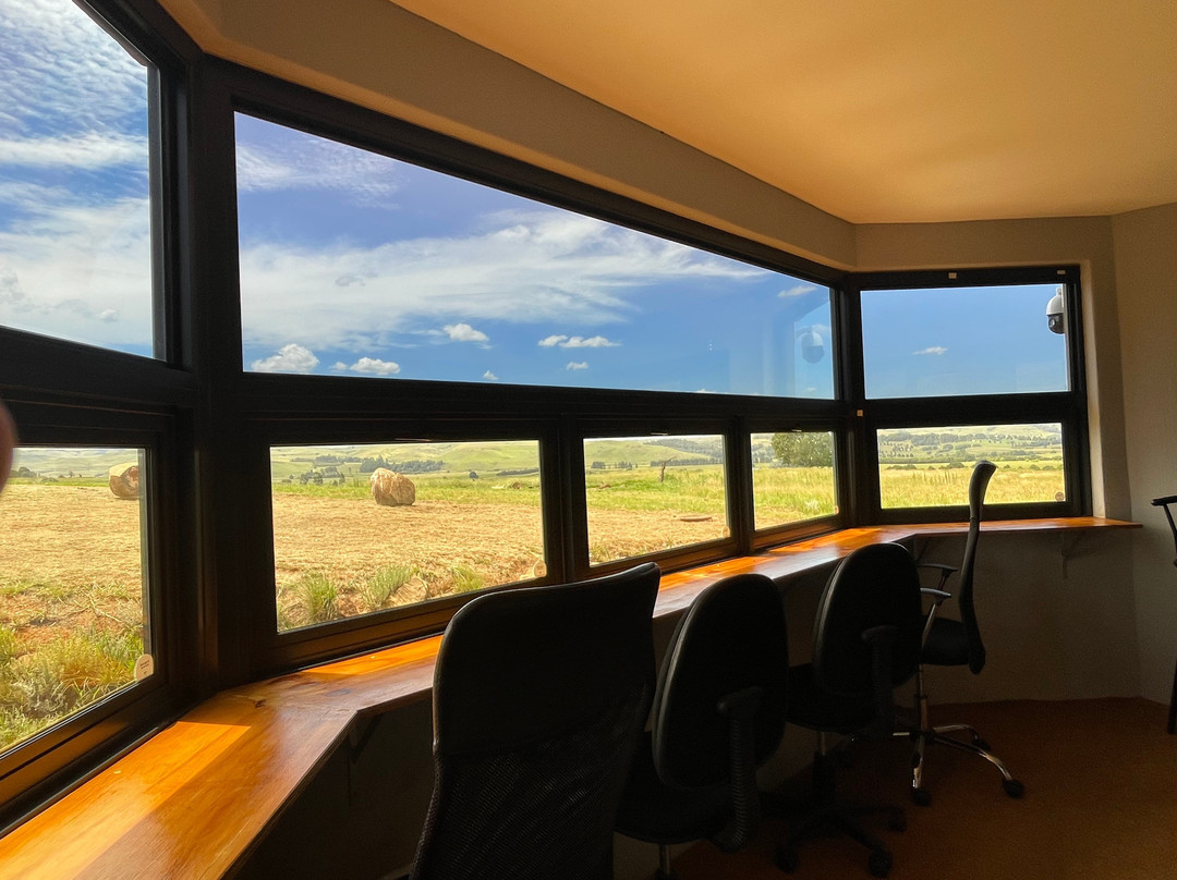 Mzimkulu Vulture Hide-安德堡必去景点