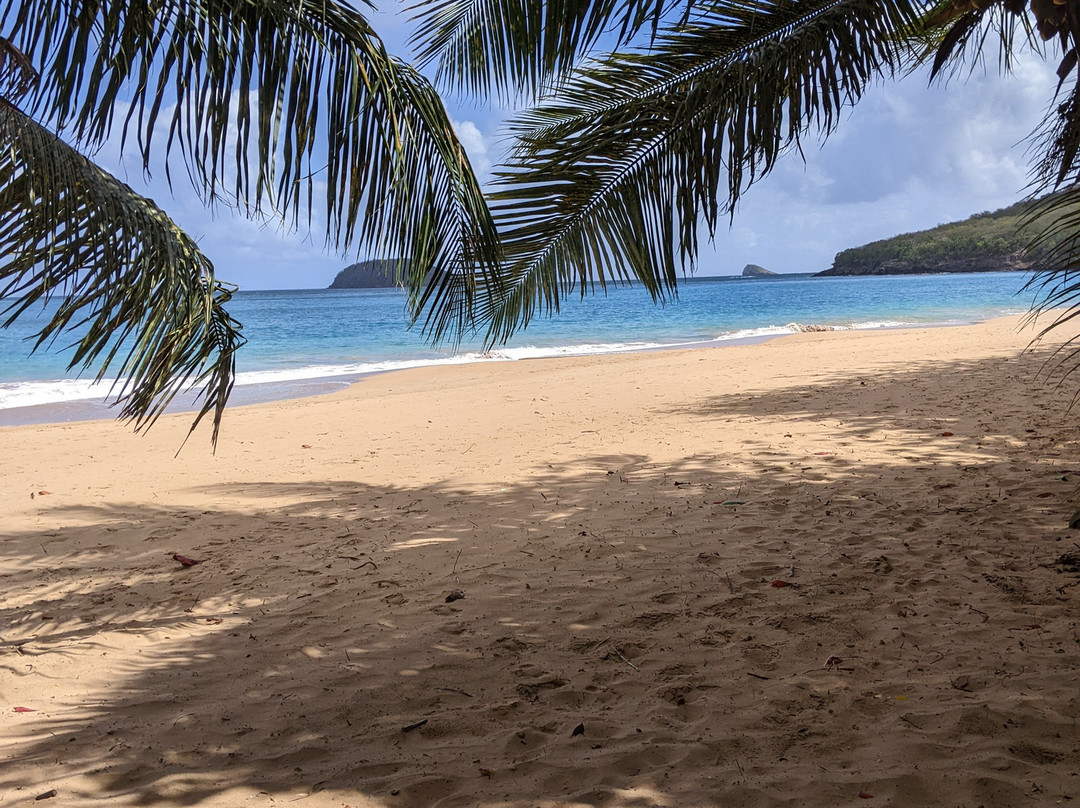 Plage de la Perle-Rifflet必去景点