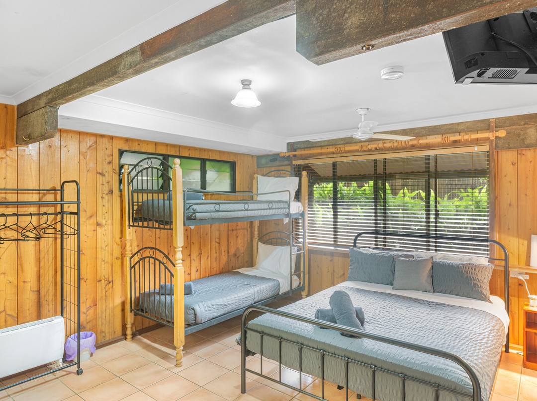 Atherton Blue Gum主图