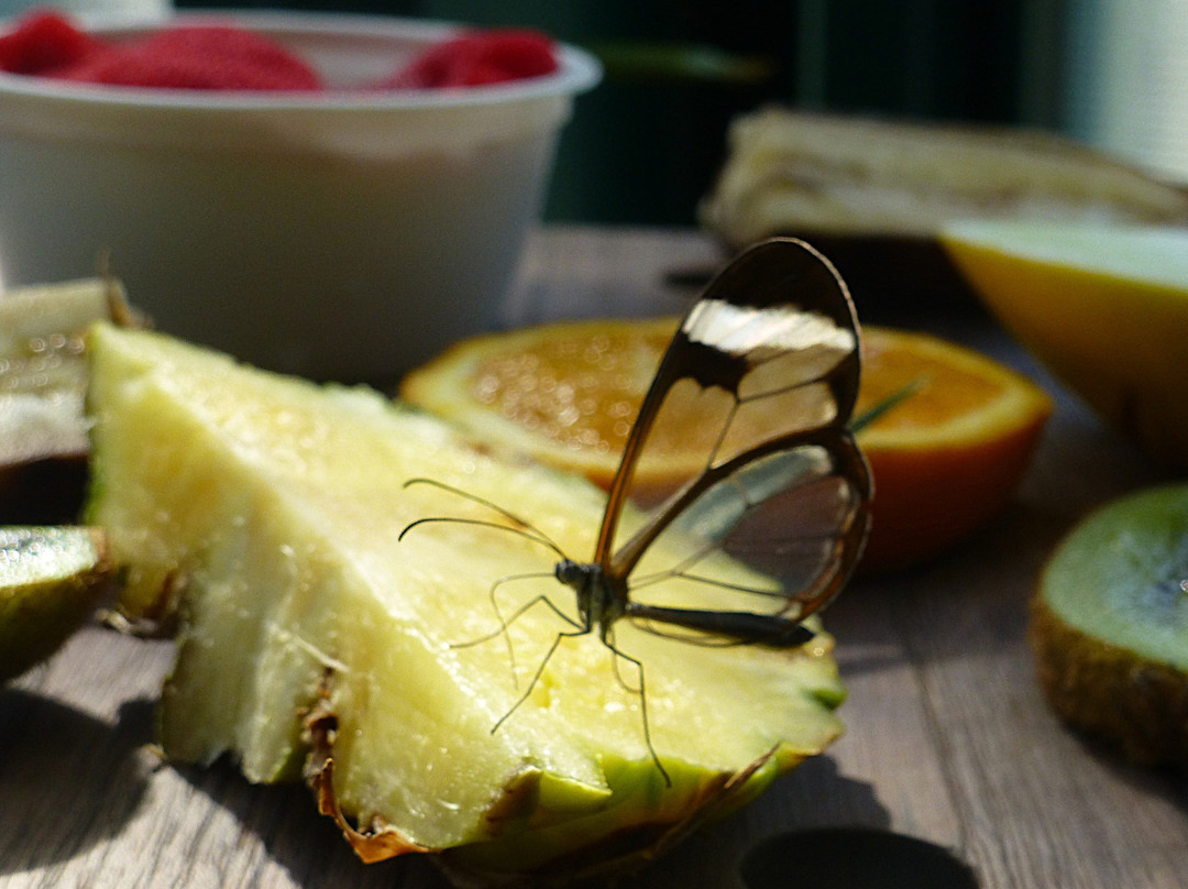 Portsmouth Natural History Museum-普兹茅斯必去景点
