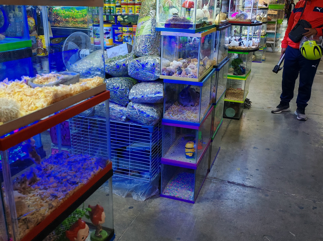 Mercado 20 De Noviembre-瓦哈卡必去景点