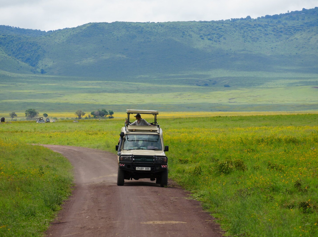 Majestic Nature Safari-阿鲁沙必去景点