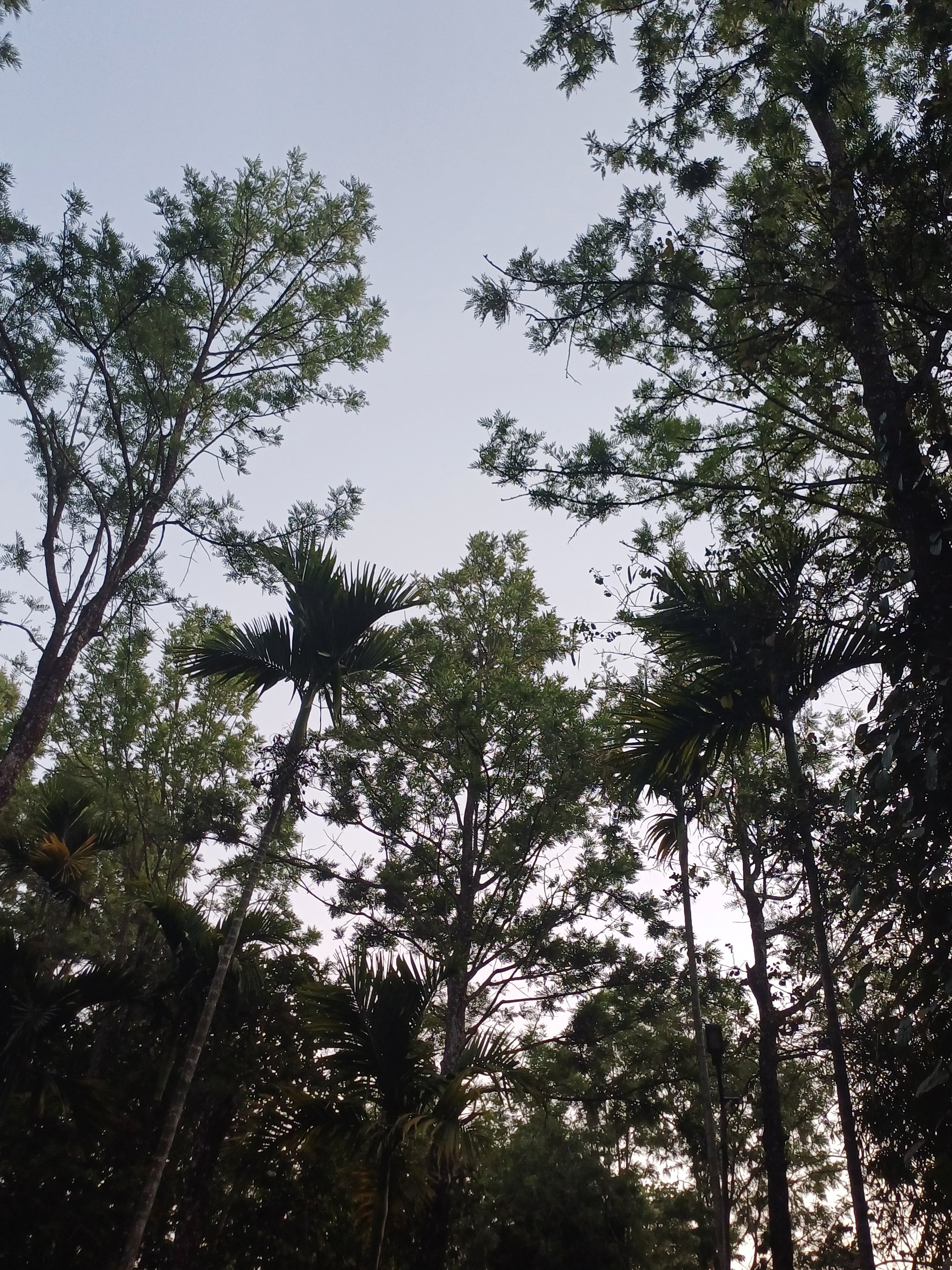 Nallathambi Resort-官方