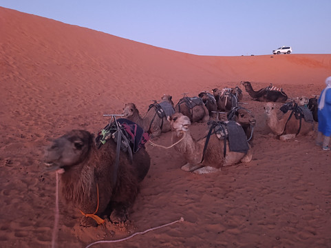 Visitas Guiadas de Marrakech-马拉喀什必去景点