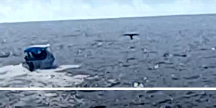 Whales Watching Sri Lanka-美蕊沙必去景点