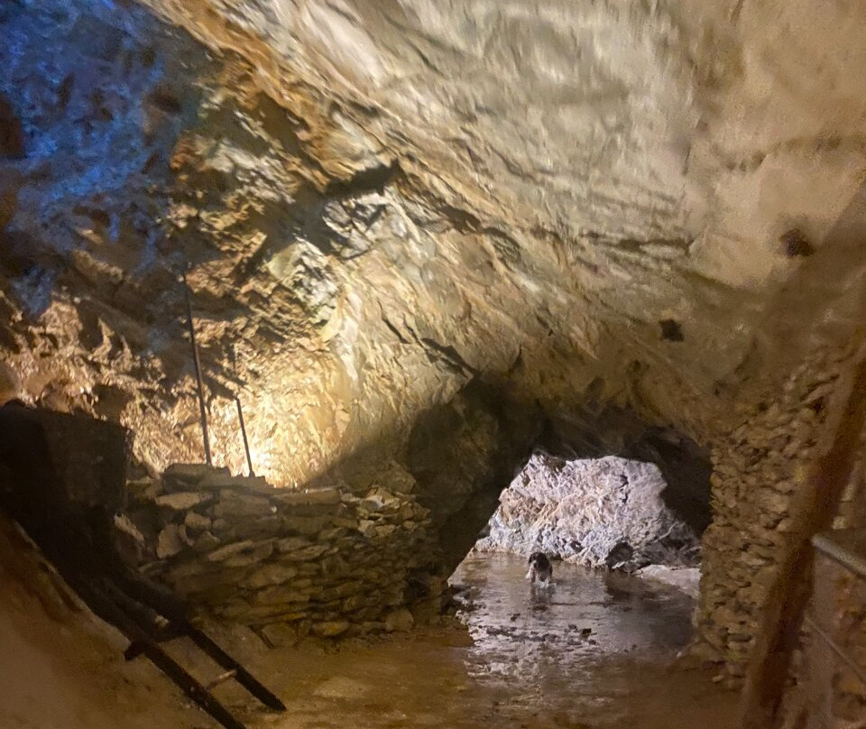Grotta Antro del Corchia景点图片