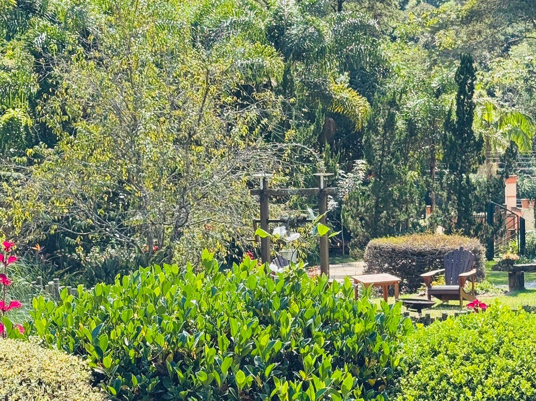 圣安东尼奥杜皮尼亚尔餐馆和美食-Bistro Seu Beneditú