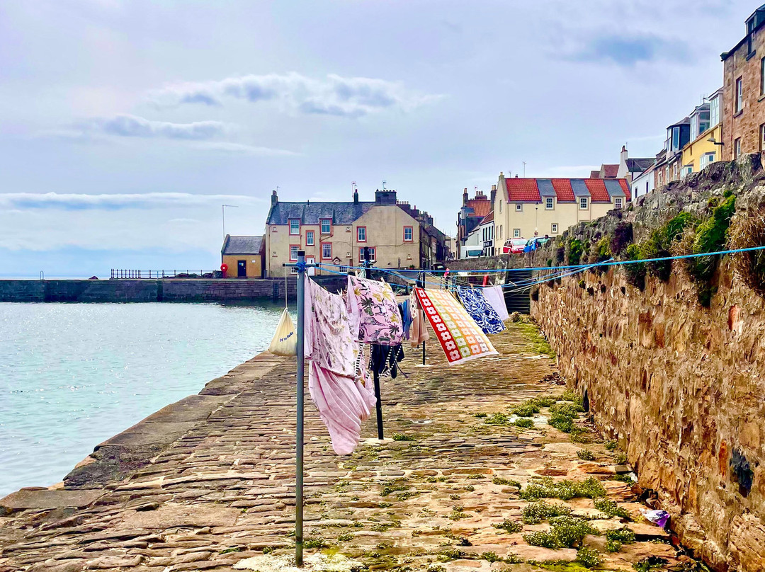 Cellardyke Harbour景点图片