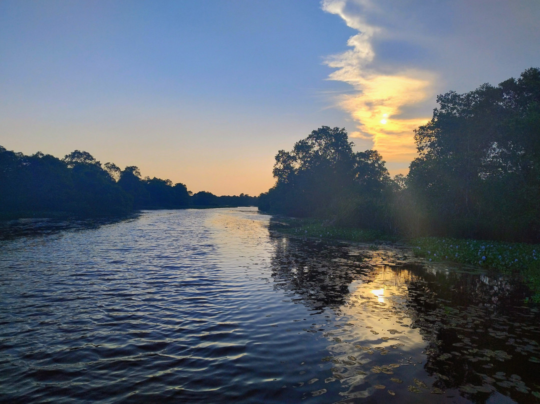 Kalametiya Lagoon Bird Sanctuary & Wetland Park景点图片