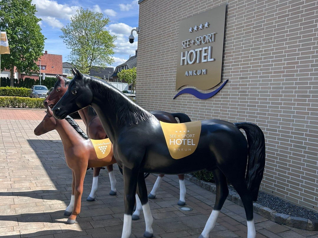 See + Sporthotel Ankum主图
