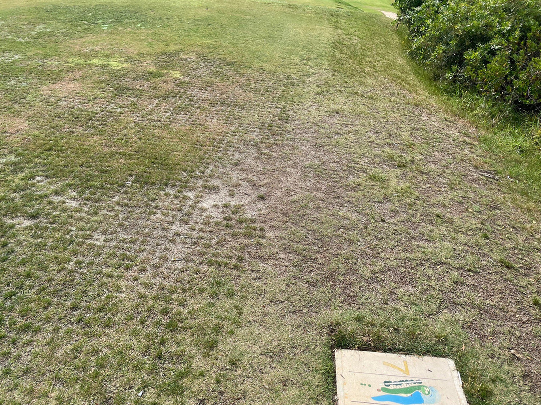 San Lorenzo Golf Course景点图片