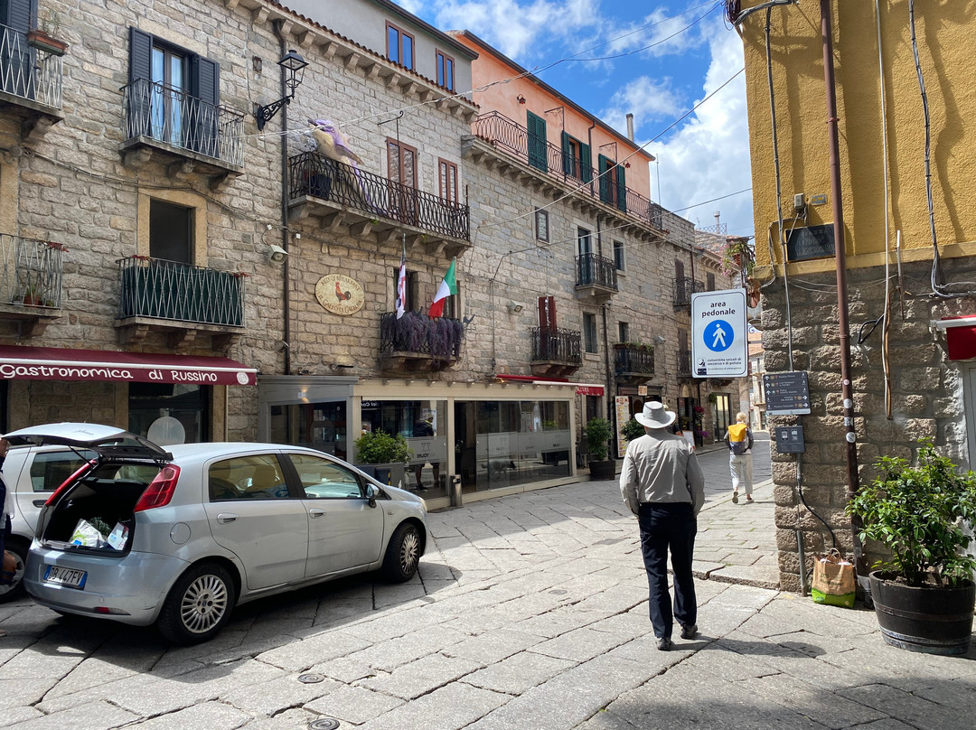 Il Gallo di Gallura主图