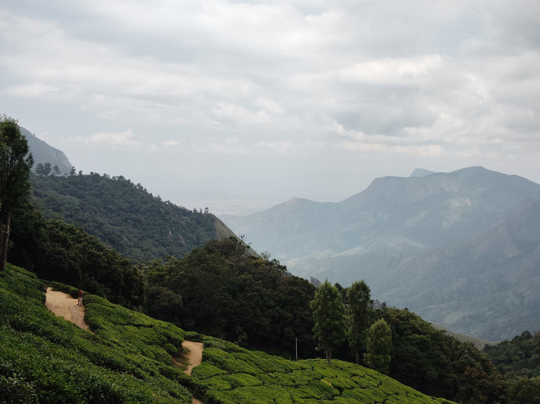 Green Kerala Tours & Travels景点图片