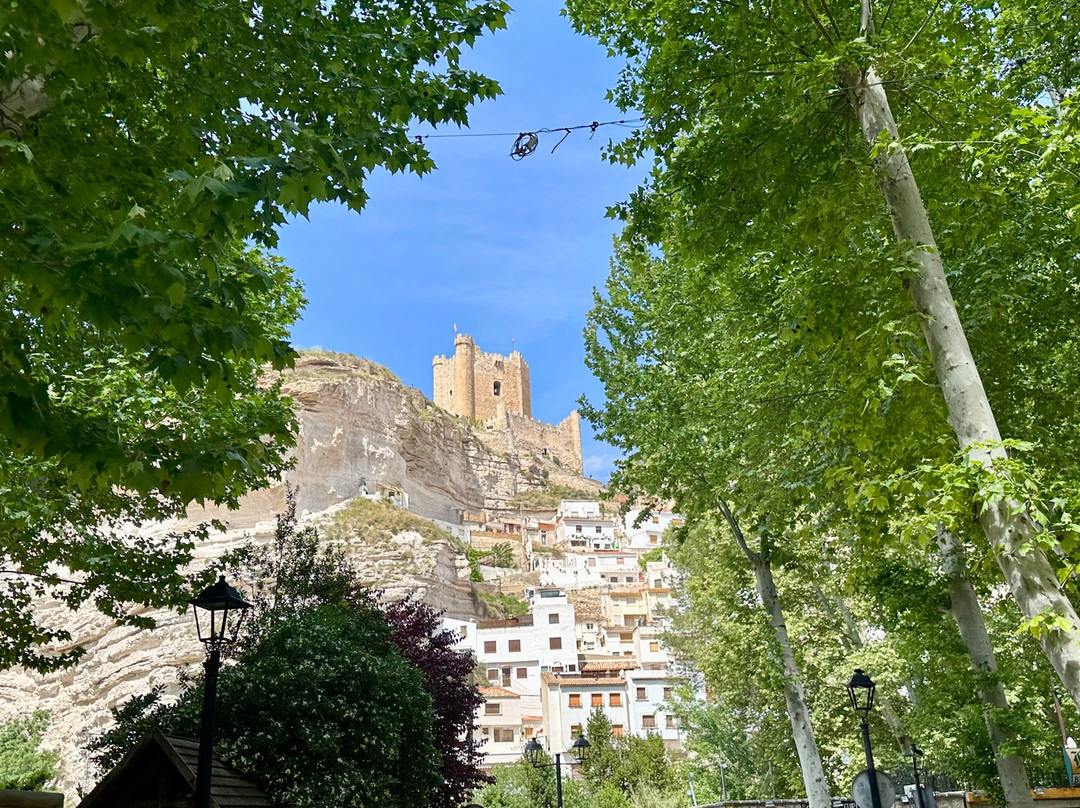 David's Coachtrips-托雷维耶哈必去景点