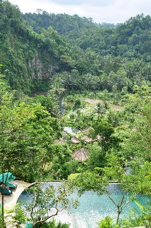 皇家皮塔马哈酒店主图