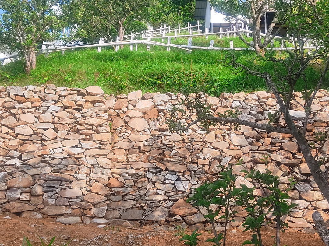 The Woods by Aaryam主图