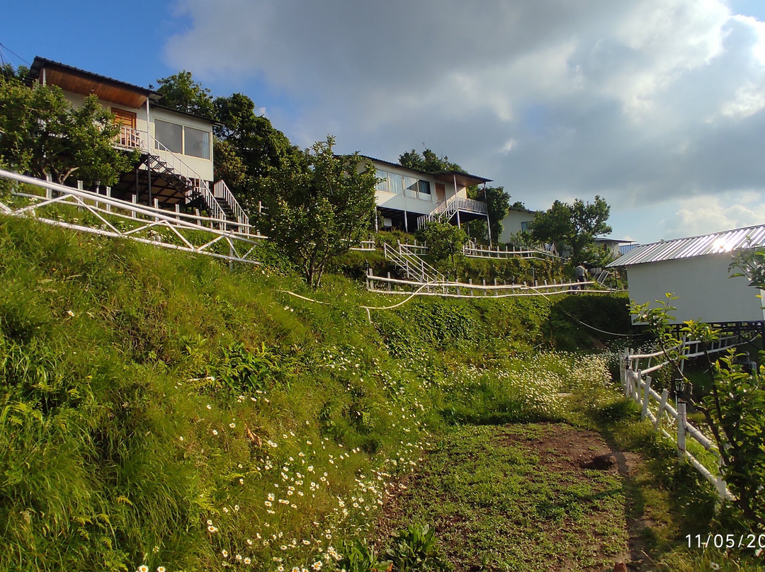 The Woods by Aaryam主图